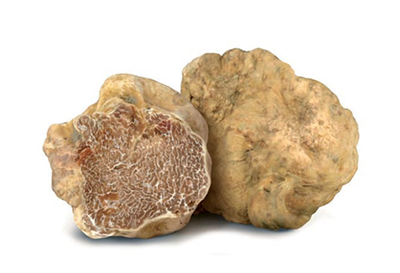 Tartufo Bianco