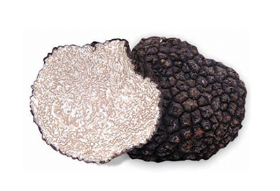 Tartufo nero estivo