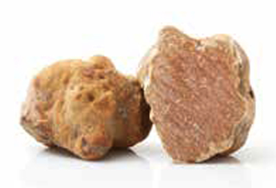 Tartufo Bianchetto